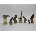 Group of bird models including a Minton model of a kingfisher, and a magpie and two robins on tree