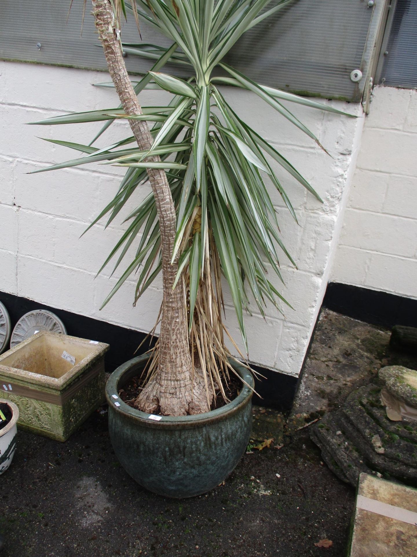 LARGE GLAZED PLANTER, APPROX 52CM