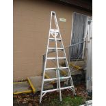 ALUMINIUM STEP LADDER