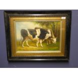 Framed Oil painting, Bovine study of a cattle in a pastoral landscape 27.5 x 39 cm