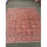 Rare antique Khotan/Samarkand carpet East Turkestan circa 1890s 2.82 X 2.48 m altered in size