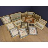 Five framed and glazed prints of songbirds, pair of military prints related to shipping, Carribean