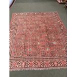 Rare antique Khotan/Samarkand carpet East Turkestan circa 1890s 2.82 X 2.48 m altered in size