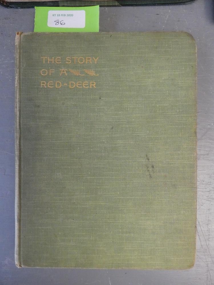 Four books to include The sport of our ancestors by willoughby de broke published 1921.Signed with - Image 3 of 16