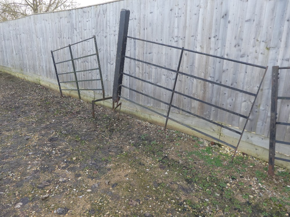 Estate fencing, 5 sections - Image 2 of 3