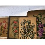 C20th LEO KILN 4 unframed hand painted botanical pictures, 1 of angels signed & dated 1929