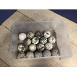 Qty of white sports balls