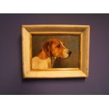C20th, oil on board, "Portrait study of a hound head" 18 x 26 cm in cream & gilt frame