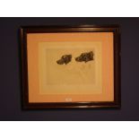After G Earl, print, "pencil study of two dogs", signed in pencil lower left, 24 x 32 cm framed &