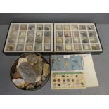 Collection of fossils from around the world