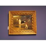 Oil on Board, "Portrait of a standing fox hound" framed & glazed, 19 x 24 cm