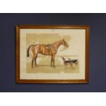 After Cecil Aldin, colour print on paper, "Horse & hound" 37 x 50 cm, mounted, framed & glazed