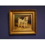 Oil on board, "Portrait of a black & white terrier", initialed lower CM, 21 x 25 cm, in gilt frame