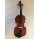 Modern violin in black wooden case - 1 piece maple back and ribs, carved head after Steiner