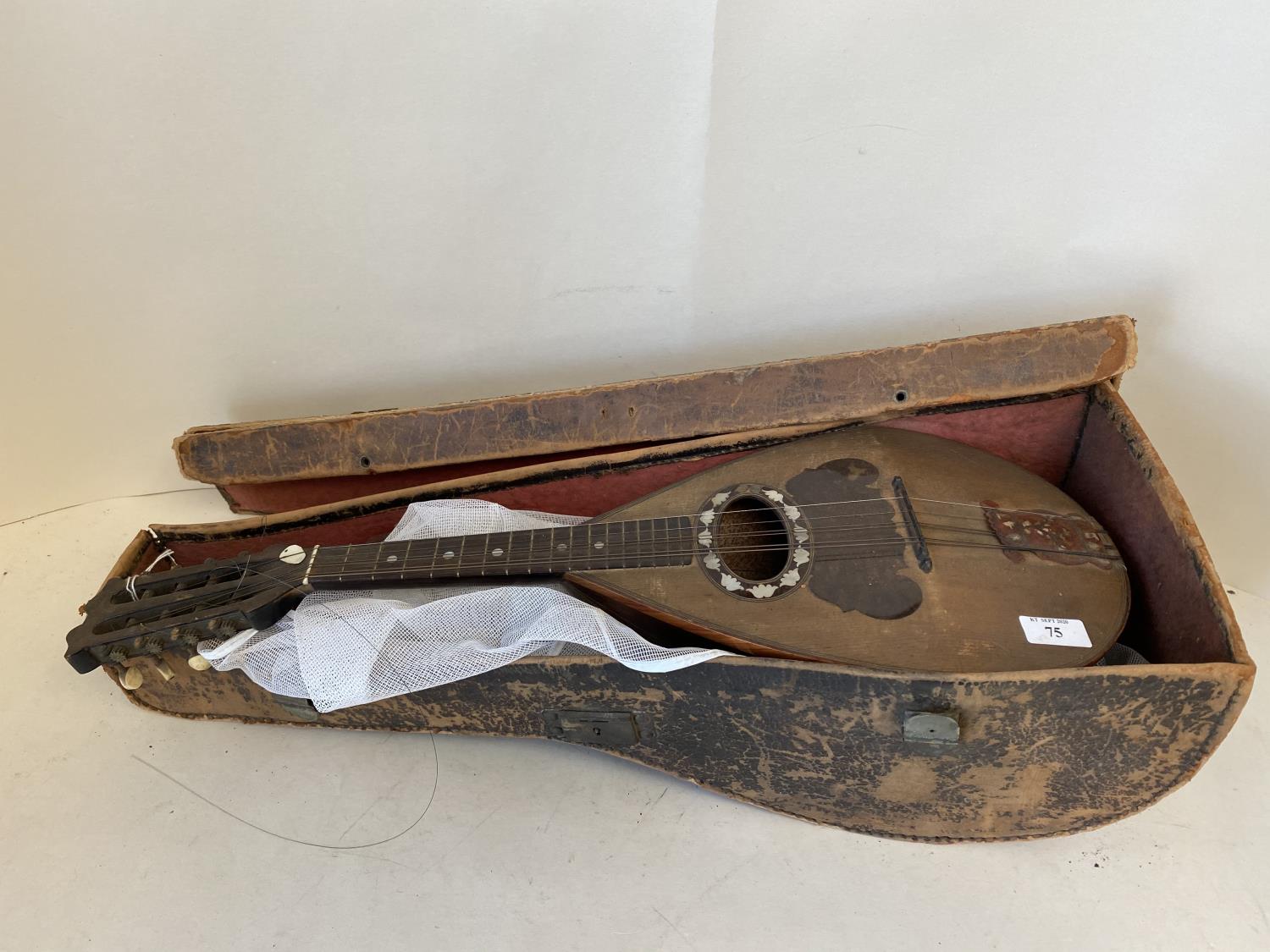 Mandolin - by Calace, Naples by brothers Nicolo and Raphaela 1891, rosewood and tulipwood back.