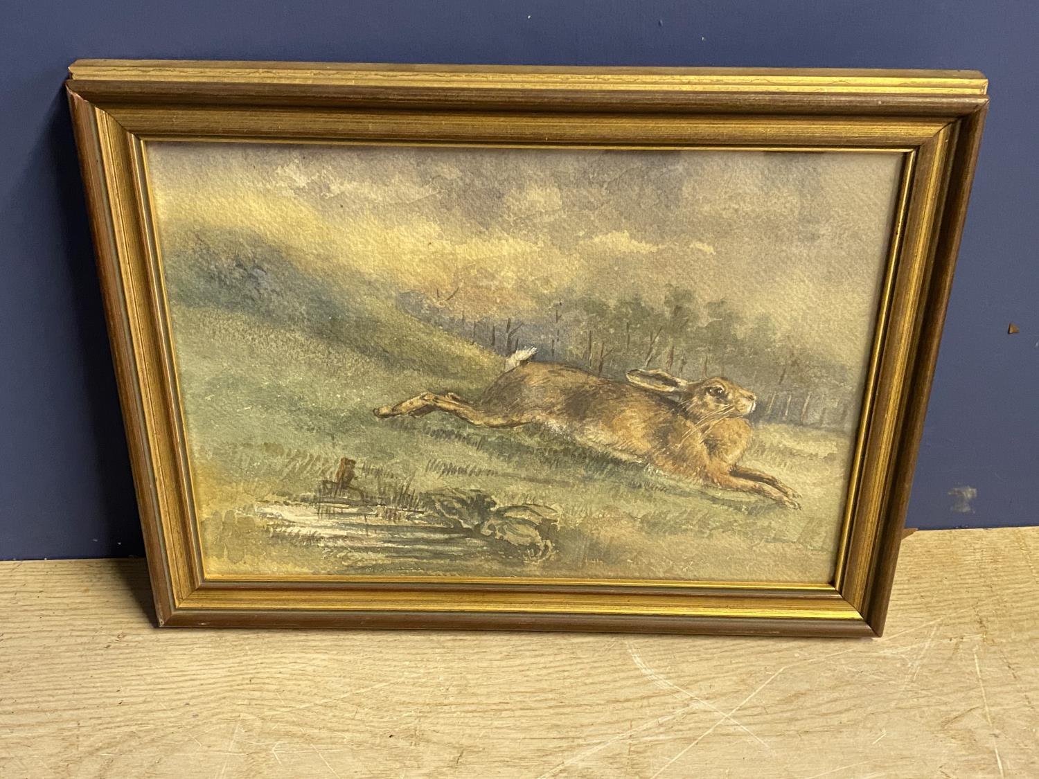 BARBARA SNEYD watercolour, "The Hare" unsigned . Provenance verso , 25 x 35, framed and glazed