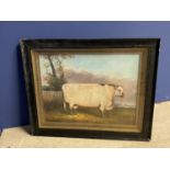 Oak framed oil painting study of a cow in a meadow 30x40cm