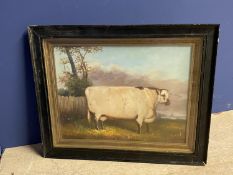 Oak framed oil painting study of a cow in a meadow 30x40cm
