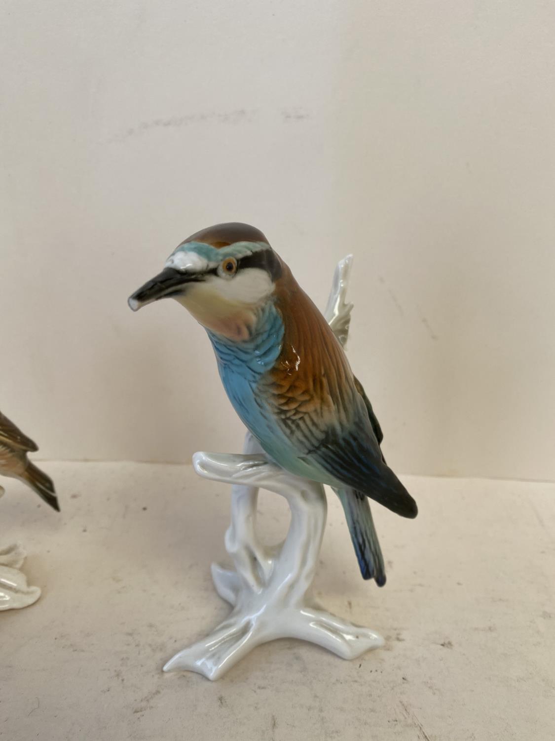 6 Continental bird figurines - Image 9 of 17