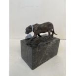 Small Bronze of a lion on a veined marble base. Signed Fratin 13cm H CONDITION: No visible signs
