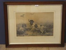 Black and White engraving, Pair old English Spaniels with snipe over, Titled "Out of Reach" in old