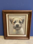 Framed & glazed oil painting study of a terrier dog 50x70cm