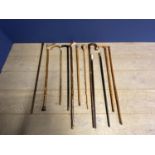 Qty of various walking sticks, canes, shepherds crooks