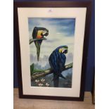 Oil painting , study of two blue macaws on a tree boughs F59.5x37