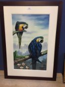 Oil painting , study of two blue macaws on a tree boughs F59.5x37