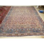 Large blue rug 367 X 299 cm