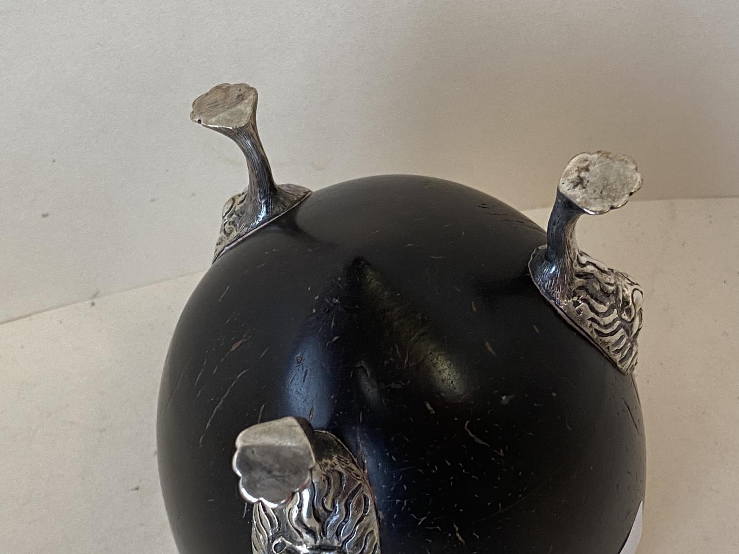 Very good quality silver mounted coconut shell, supported by 3 lion feet legs, 9cmdiam - Image 2 of 2