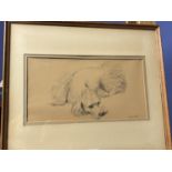 CAROLINE LEEDS (1931-2005), Drawing study of a dog. Signed lower right Leeds. 20x38cm, original