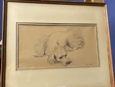 CAROLINE LEEDS (1931-2005), Drawing study of a dog. Signed lower right Leeds. 20x38cm, original