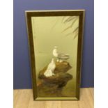 Good Oil canvas, pair of white fantailed pigeons on a rock with Chinese calligraphy and seal mark