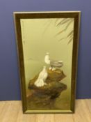 Good Oil canvas, pair of white fantailed pigeons on a rock with Chinese calligraphy and seal mark