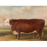 Framed oil painting of Hereford bull in a meadow. 30x39.5