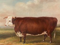 Framed oil painting of Hereford bull in a meadow. 30x39.5