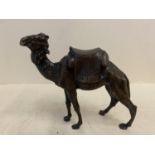 Bronze camel under saddle, 13cmH