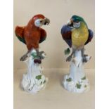 Pair of Meissen Parrots/Macaws standing on white tree roots, The red parrot (restored)See