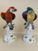 Pair of Meissen Parrots/Macaws standing on white tree roots, The red parrot (restored)See