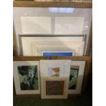 Quantity of various modern paintings, prints and frames