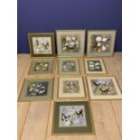 NIGEL WYKES 1980s, 10 Butterfly and Botanical watercolour studies, in various size frames and