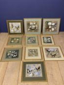 NIGEL WYKES 1980s, 10 Butterfly and Botanical watercolour studies, in various size frames and