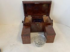 Early Regency mahogany tea caddy supported by bun feet