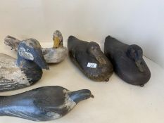 Qty of decoy ducks and a decoy pigeon