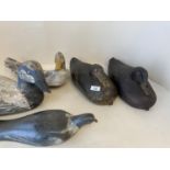 Qty of decoy ducks and a decoy pigeon