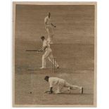 England v South Africa 1935. Original sepia press photograph from the fifth and final Test at The