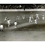 England v Australia 1953. Excellent large original press photograph showing Len Hutton almost giving