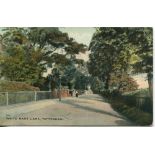 'White Hart Lane, Tottenham'. Colour postcard of the lane showing two ladies and a child on the