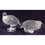 A pair of contemporary Lalique frosted glass models of partridges, one perched and the other seated,